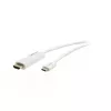 Vaizdo kabelio adapteris Kramer Electronics C-USBC/HM10 3 m USB Type-C HDMI baltas