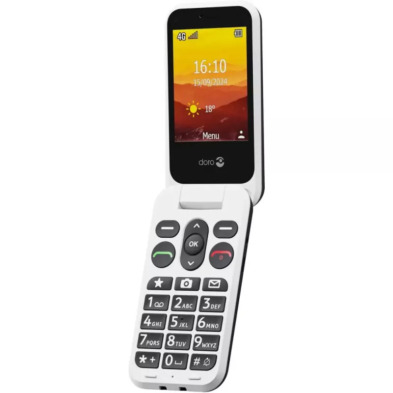 Mobilusis telefonas Doro Leva L31 2.8 col.
