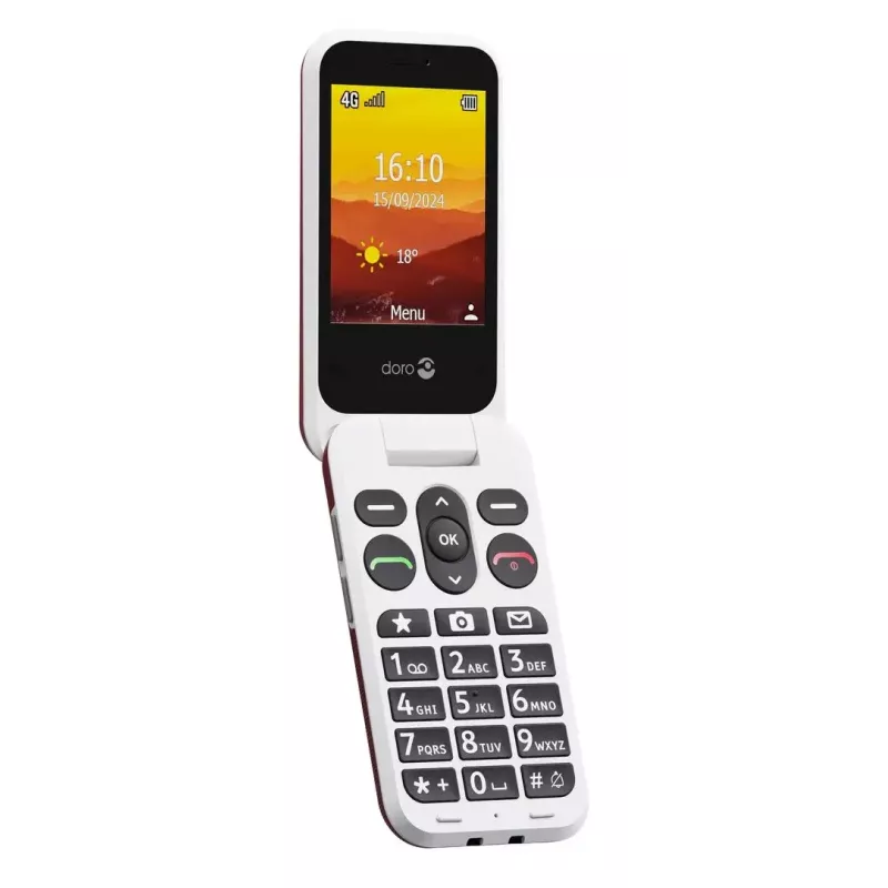 Mygtukinis telefonas Doro Leva L21 2,8 col.
