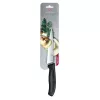 Peilis Victorinox Karaca 7611160019790 1 vnt. V-6.80 03.15B