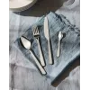 Virtuvės stalo įrankių rinkinys ALESSI BG02S24 — stalo peilis ir šakutė, nerūdijantis plienas