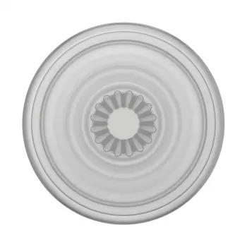 Grip PopSockets PlantCore by Popsockets — universalus telefono laikiklis, pilkas permatomas, 38,8×7,7 mm