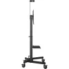 TV laikiklis Vision VFM-F22 2,03 m 60 kg talpa