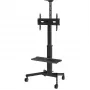 TV laikiklis Vision VFM-F22 2,03 m 60 kg talpa