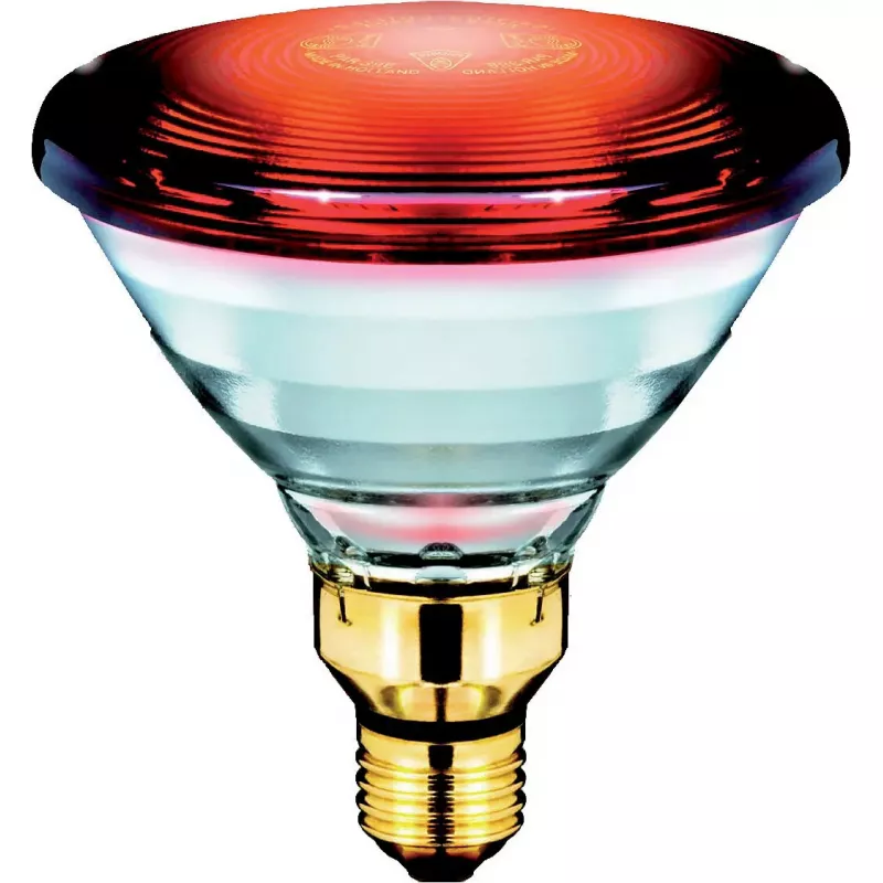 Philips PAR38 IR 150 W E27 230 V raudona infraraudonųjų spindulių sveikatos priežiūros lemputė