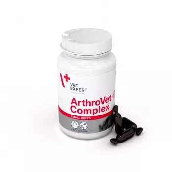 VETEXPERT ArthroVet Collagen Small breed - papildai šunims ir katėms - 60 tablečių