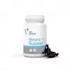 VetExpert NeuroSupport 45 kapsulės.
