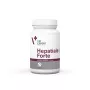 VetExpert Hepatiale Forte Large Breed 40 tabletės.