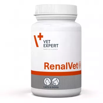 VetExpert RenalVet 60 kapsulių.