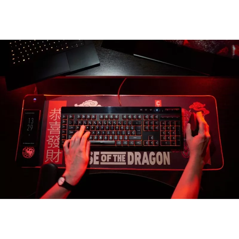 Numskull pelės kilimėlis House of Dragons + belaidis įkrovimas 30x80cm