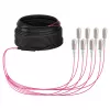 EFB Trunk kabelis U-DQ(ZN)BH OM4 8G (1x8) SC-SC 10m Dca LSZH