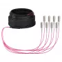 EFB magistralinis kabelis U-DQ(ZN)BH OM4 8G (1x8) SC-SC 20m Dca LSZH