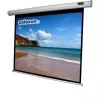 Celexon Economy elektrinis ekranas - Ekranas - Galimas tvirtinimas prie lubų, tinka tvirtinti prie sienos - motorizuotas - 250 cm (98) - 4:3 (1090073)