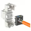 Modulinis RJ-45 įvesties modulis EFB Elektronik ECOLAN E-20080, baltas