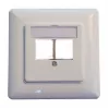 EFB Elektronik 2 vietų Keystone rėmelio rinkinys ET-25091 — tiesus DIN49075 lizdas, RAL9003 balta, 80×80 mm rėmelis su 50×50 mm centrine plokšte