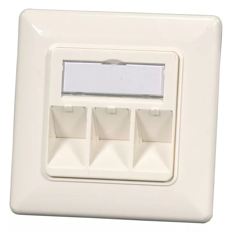 EFB Elektronik 2 vietų Keystone rėmelio rinkinys ET-25091 — tiesus DIN49075 lizdas, RAL9003 balta, 80×80 mm rėmelis su 50×50 mm centrine plokšte