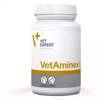 VetExpert VetAminex 60 kapsulių.