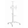 TV priedas grindų stovas 37-70/WHITE TVS-70T-02-W Gembird