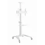 TV priedas grindų stovas 37-70/WHITE TVS-70T-02-W Gembird