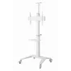 TV priedas grindų stovas 37-70/WHITE TVS-70T-02-W Gembird