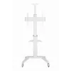 TV priedas grindų stovas 37-70/WHITE TVS-70T-02-W Gembird