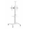 TV priedas grindų stovas 37-70/WHITE TVS-70T-02-W Gembird