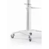 TV priedas grindų stovas 37-70/WHITE TVS-70T-02-W Gembird