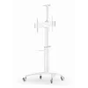TV priedas grindų stovas 37-70/WHITE TVS-70T-02-W Gembird