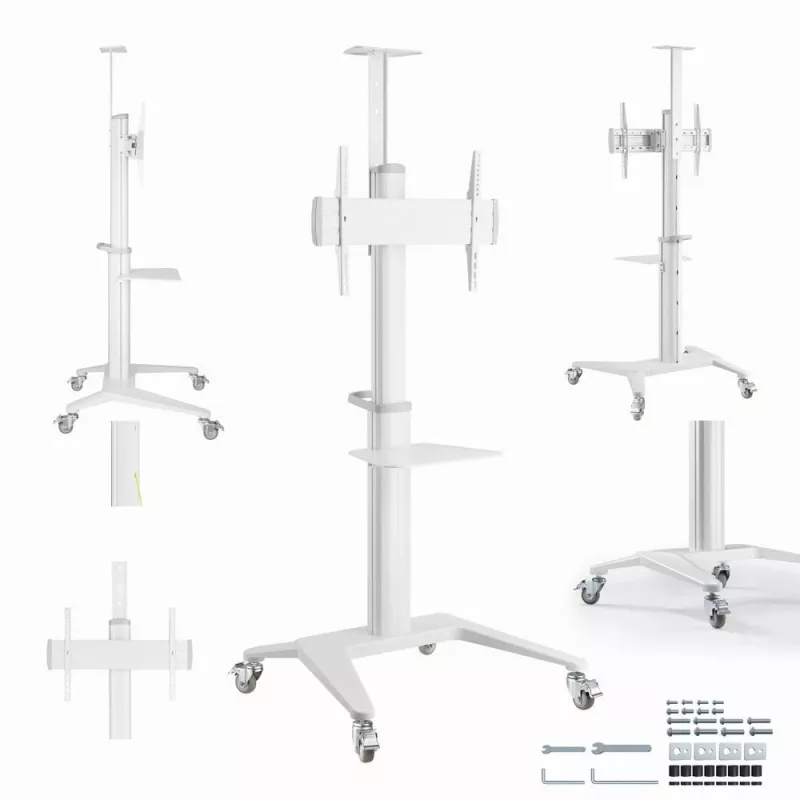 TV priedas grindų stovas 37-70/WHITE TVS-70T-02-W Gembird