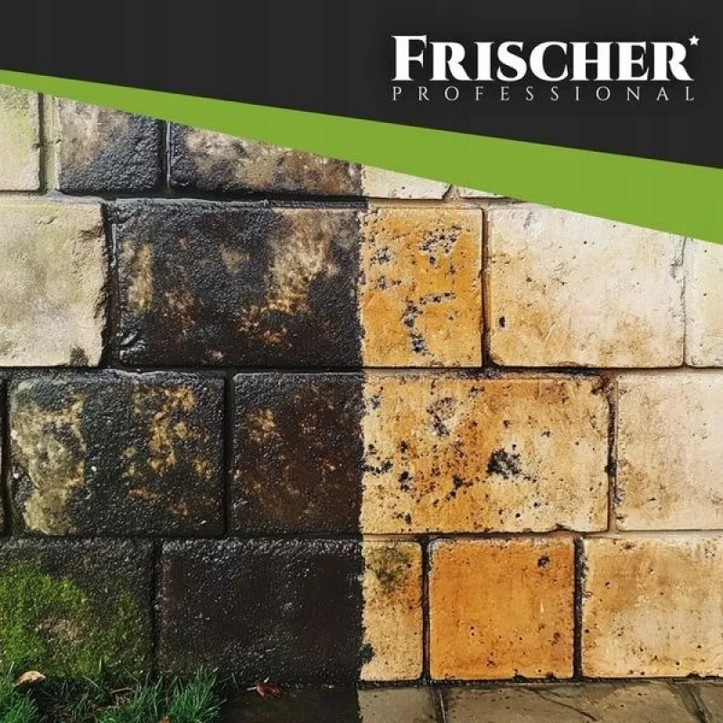 Frischer fasado valiklis 1l