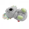 Kvėpuojanti koala