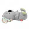Kvėpuojanti koala