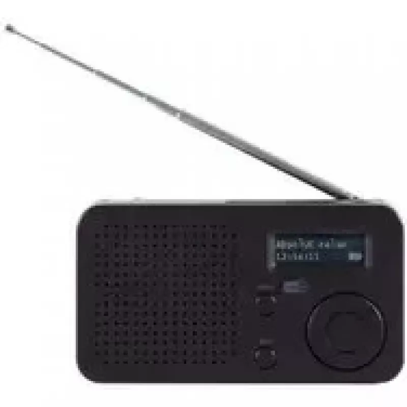Imperial 22-128-00 Baterijinis radijas UKW, DAB+, FM DAB+, Bluetooth® Juodas (22-128-00)