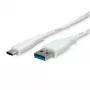 ROTRONIC-SECOMP VALUE - USB laidas - USB Type A (M) į USB-C (M)