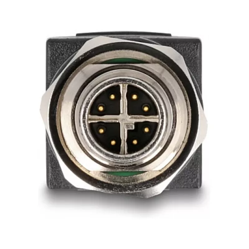Delock M12 adapteris X koduotas 8 kontaktų kištukas į RJ45 lizdą tiesus