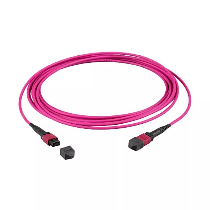 EFB MTP(F)-MTP(F) komutacinis kabelis OM4 12 Fibres Type B LSZH heather violet 0,5m