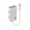 Lindy USB Type C į trigubą ekraną keitiklis, 3840 x 2160 pikselių