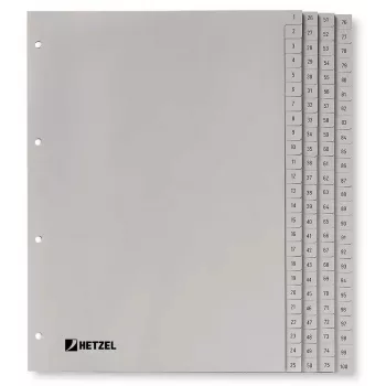 Rexel PP skirtukai, pilki, skaitmeniniai, Skaitmeninių kortelių rodyklė, Polipropilenas (PP), Pilka, A4, 226 mm, 297 mm