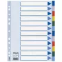 Esselte pertvarėlė PP A4 12 skirtukų, tuščias skirtukų indeksas, polivinilchloridas (PVC), įvairiaspalvė, A4, 2, 4, 6, 225 mm