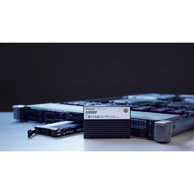 Kingston Technology 30,7 TB DC3000ME U.2 PCIe 5.0 NVMe TCG Opal Enterprise SSD