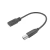 ACT USB-C patelė į USB-B 2.0 spausdintuvo adapterio kabelis 0,2 m