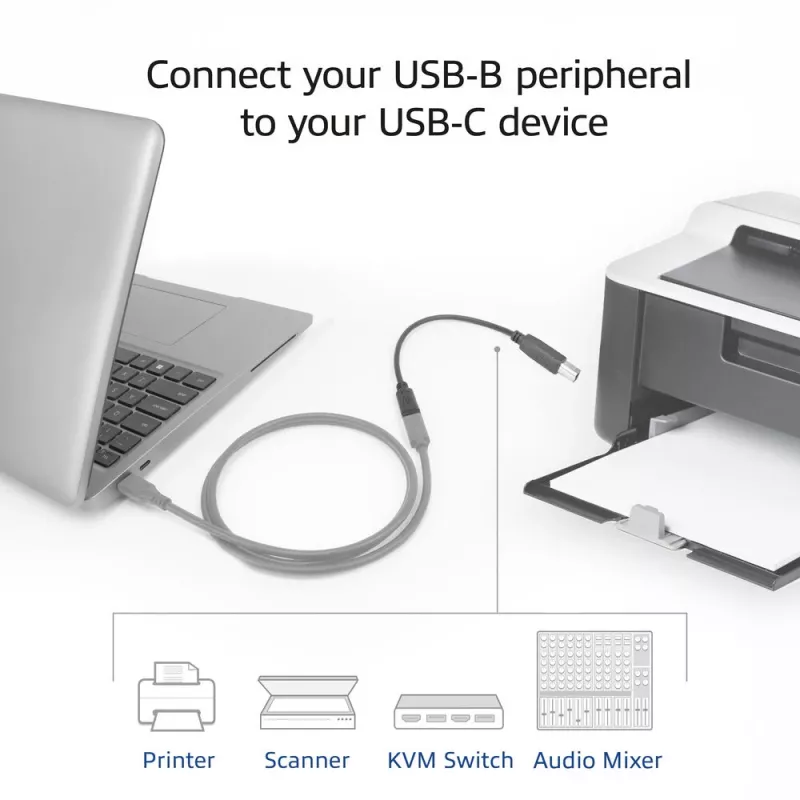 ACT USB-C patelė į USB-B 2.0 spausdintuvo adapterio kabelis 0,2 m