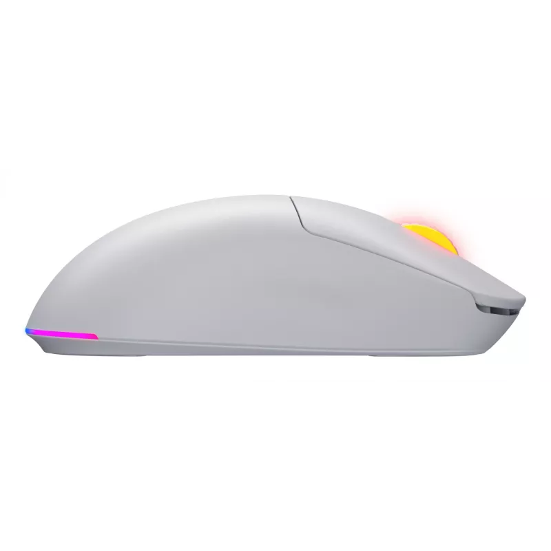 HATOR Quasar 3 Wireless pelė Žaidimų Abiem rankoms tinkama RF belaidė + Bluetooth + USB Type-A Optinė 12000 DPI