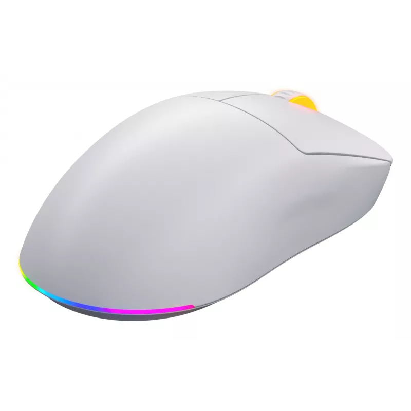 HATOR Quasar 3 Wireless pelė Žaidimų Abiem rankoms tinkama RF belaidė + Bluetooth + USB Type-A Optinė 12000 DPI