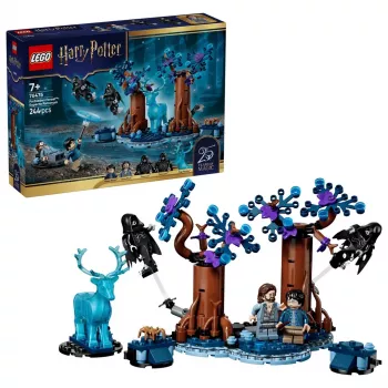 LEGO Harry Potter 76475 Uždraustasis miškas: Expecto Patronum (244 d.)
