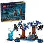 LEGO Harry Potter 76475 Uždraustasis miškas: Expecto Patronum (244 d.)
