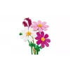 LEGO Botanicals 11514 Kosmėjos gėlės (171 d.)