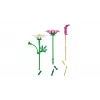 LEGO Botanicals 11514 Kosmėjos gėlės (171 d.)