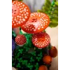 LEGO Botanicals 11505 Miško grybai (806 d.)