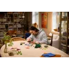 LEGO Botanicals 11505 Miško grybai (806 d.)